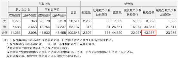 保護犬猫マッチング「OMUSUBI」が相性度診断機能をリリース、潜在的 