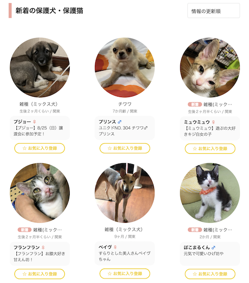 保護犬猫マッチング Omusubi が相性度診断機能をリリース 潜在的相性による出会いを創出 Lovetechmedia ラブテックメディア