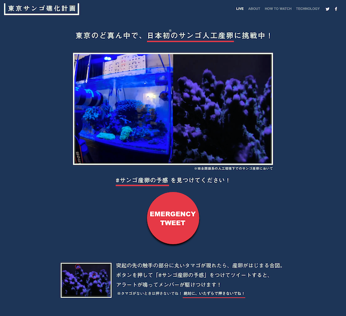 サンゴの人工産卵実験を イノカが２４時間ライブ配信 完全閉鎖系の人工環境下で成功すれば日本初 Lovetechmedia ラブテックメディア Part 2